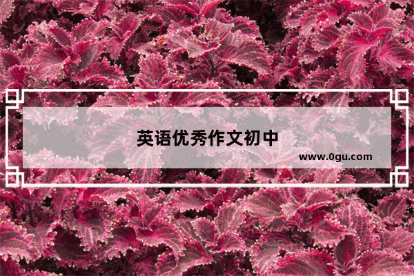 英语优秀作文初中