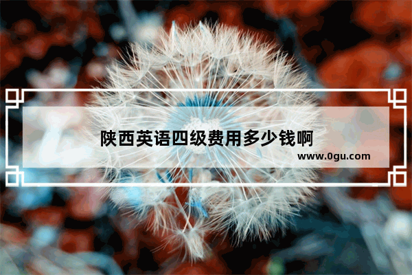 陕西英语四级费用多少钱啊