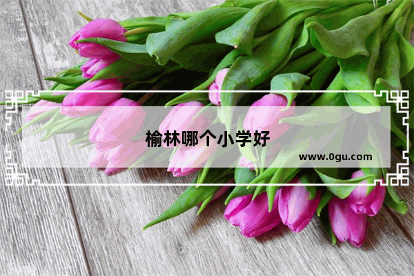 榆林哪个小学好