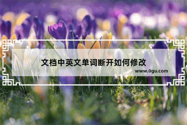 文档中英文单词断开如何修改
