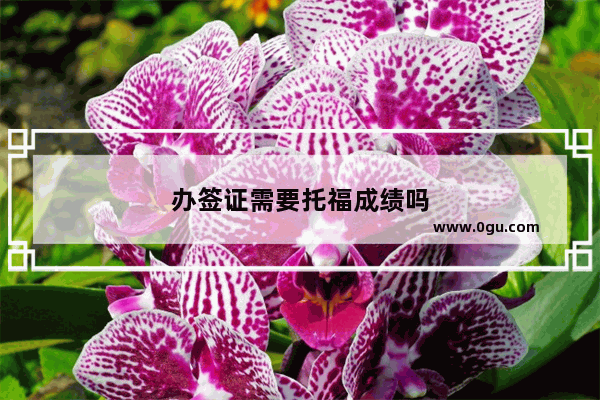 办签证需要托福成绩吗