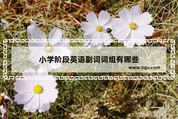 小学阶段英语副词词组有哪些