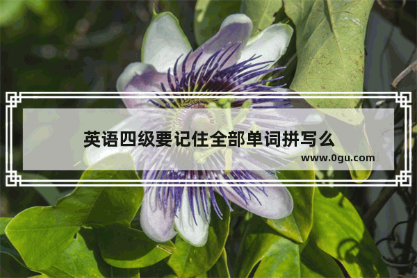 英语四级要记住全部单词拼写么