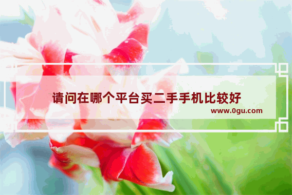 请问在哪个平台买二手手机比较好