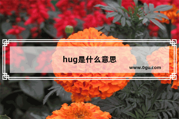 hug是什么意思