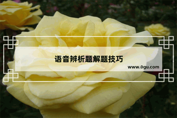 语音辨析题解题技巧