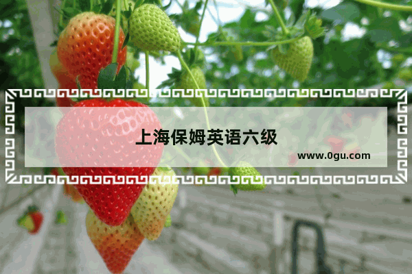 上海保姆英语六级