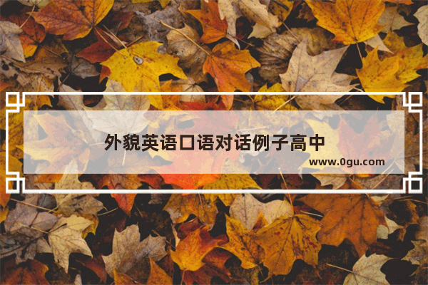 外貌英语口语对话例子高中
