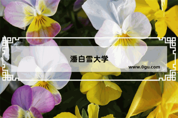 潘白雪大学