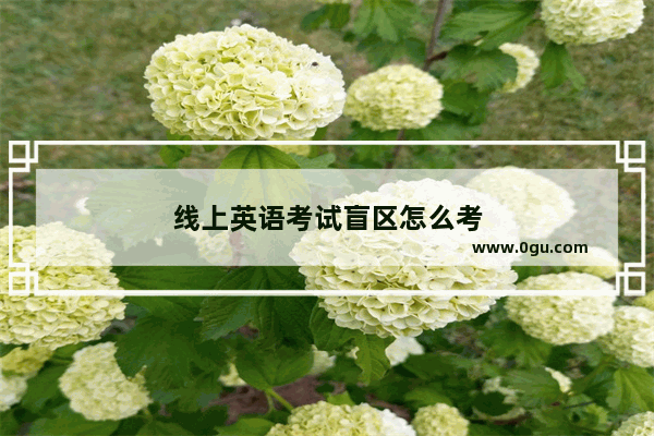 线上英语考试盲区怎么考