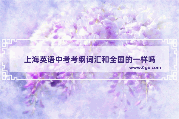 上海英语中考考纲词汇和全国的一样吗