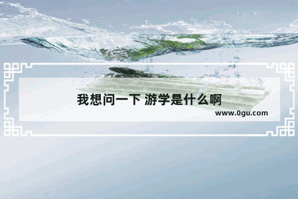 我想问一下 游学是什么啊