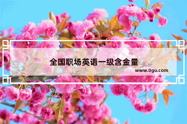 全国职场英语一级含金量