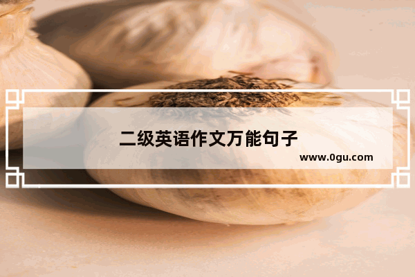 二级英语作文万能句子