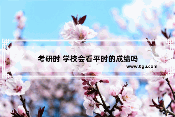 考研时 学校会看平时的成绩吗