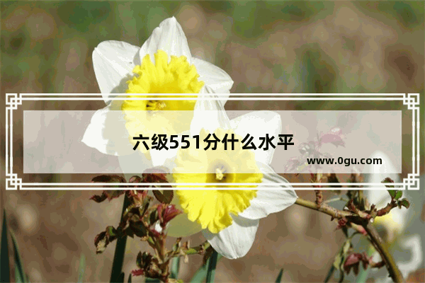 六级551分什么水平