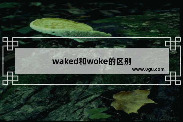 waked和woke的区别