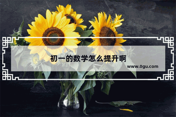 初一的数学怎么提升啊