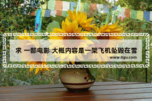 求 一部电影 大概内容是一架飞机坠毁在雪山上 幸存者吃死人的肉