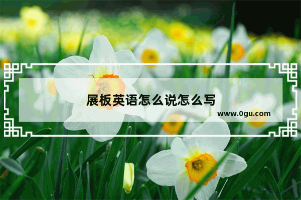 展板英语怎么说怎么写