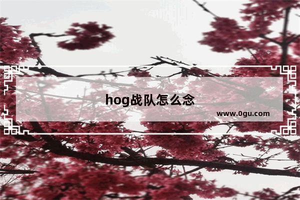 hog战队怎么念