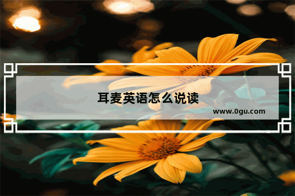 耳麦英语怎么说读
