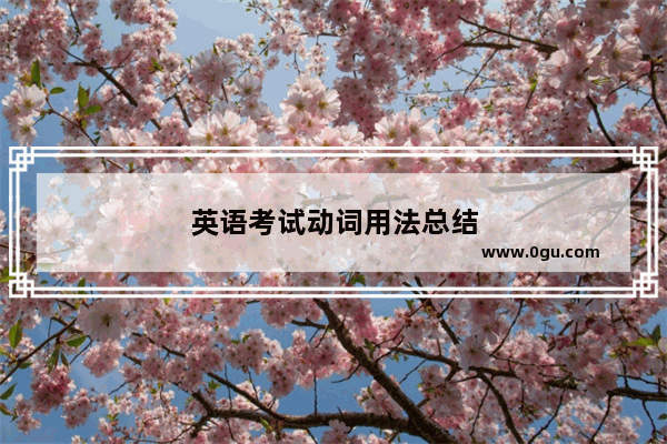 英语考试动词用法总结