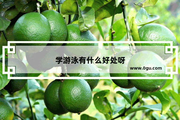学游泳有什么好处呀