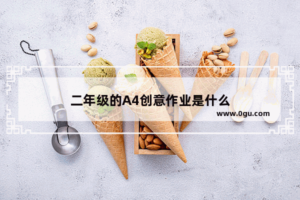 二年级的A4创意作业是什么