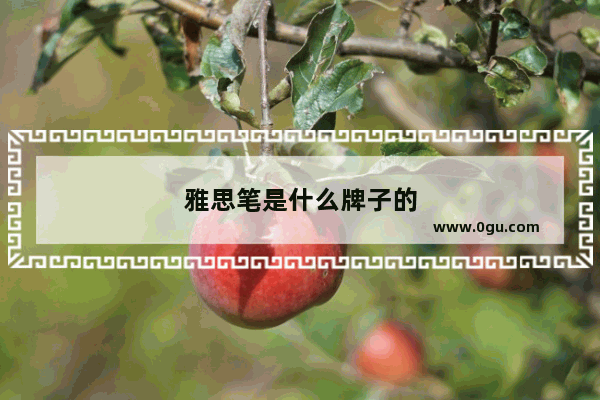雅思笔是什么牌子的