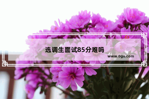 选调生面试85分难吗