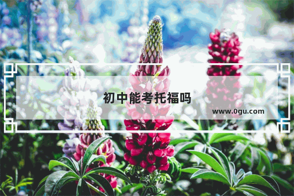 初中能考托福吗