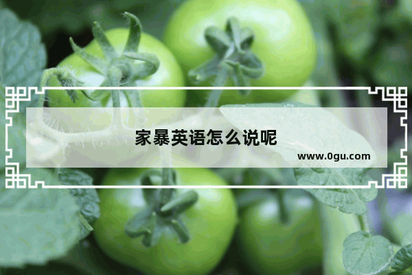 家暴英语怎么说呢