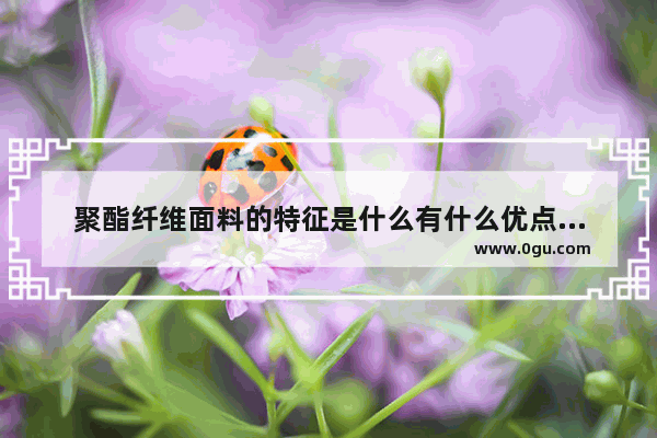 聚酯纤维面料的特征是什么有什么优点和缺点