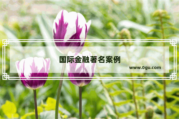 国际金融著名案例