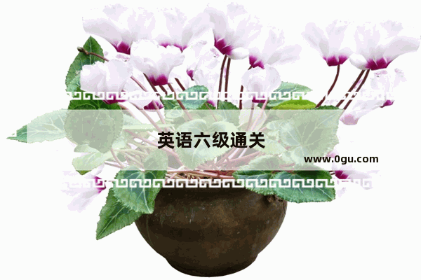 英语六级通关