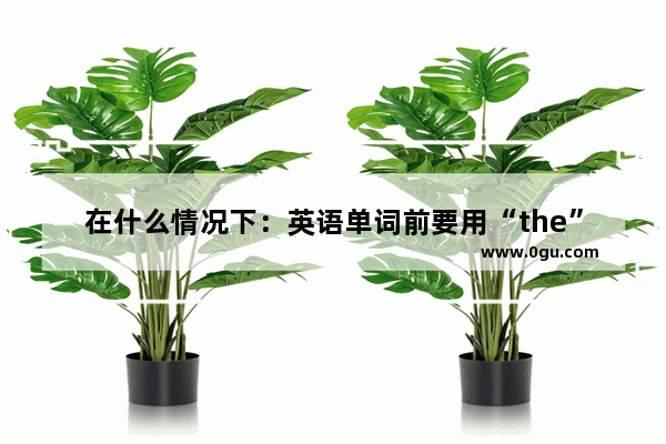 在什么情况下：英语单词前要用“the”