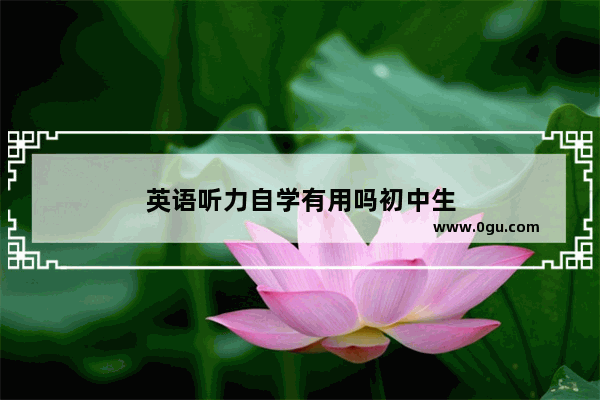 英语听力自学有用吗初中生