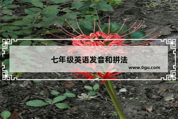 七年级英语发音和拼法