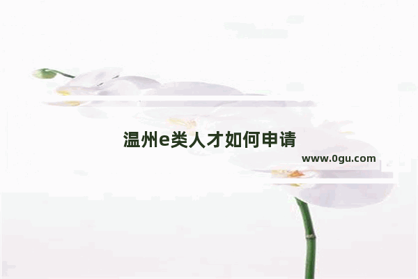 温州e类人才如何申请