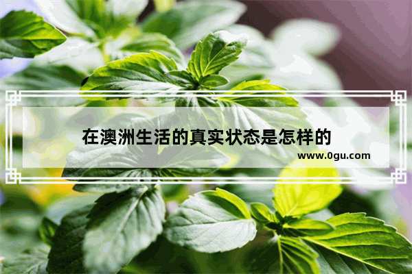 在澳洲生活的真实状态是怎样的