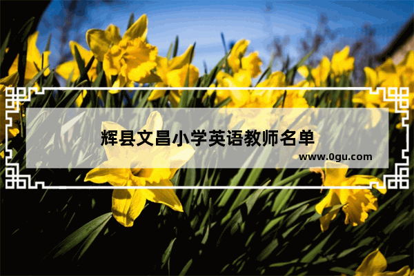 辉县文昌小学英语教师名单