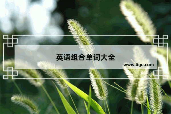 英语组合单词大全