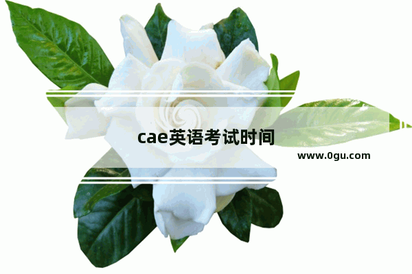 cae英语考试时间