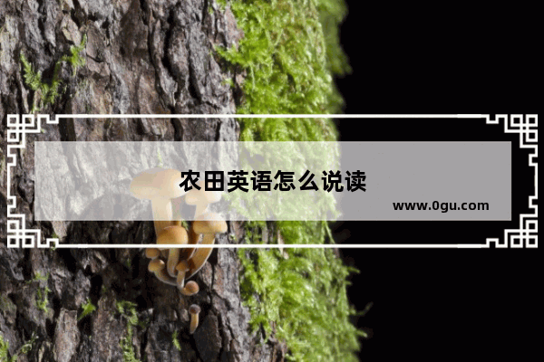 农田英语怎么说读