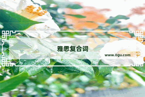 雅思复合词