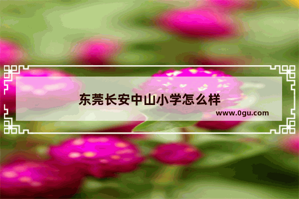 东莞长安中山小学怎么样