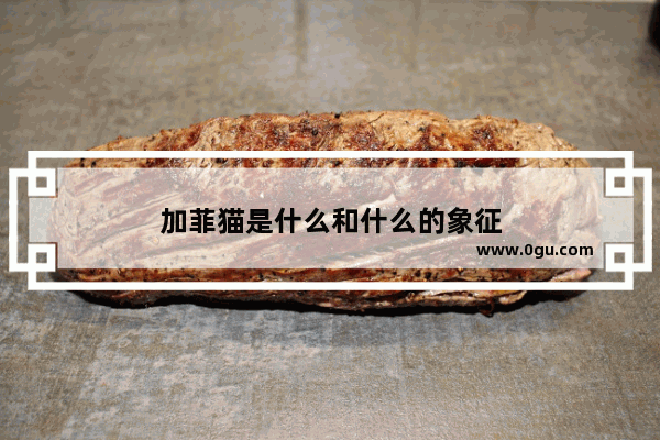 加菲猫是什么和什么的象征