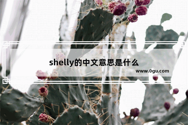 shelly的中文意思是什么
