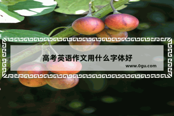 高考英语作文用什么字体好